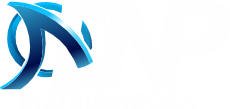 Logo DNP Distribuidora